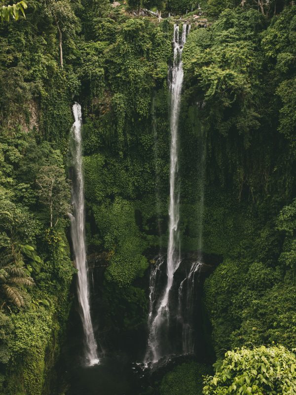 bali3