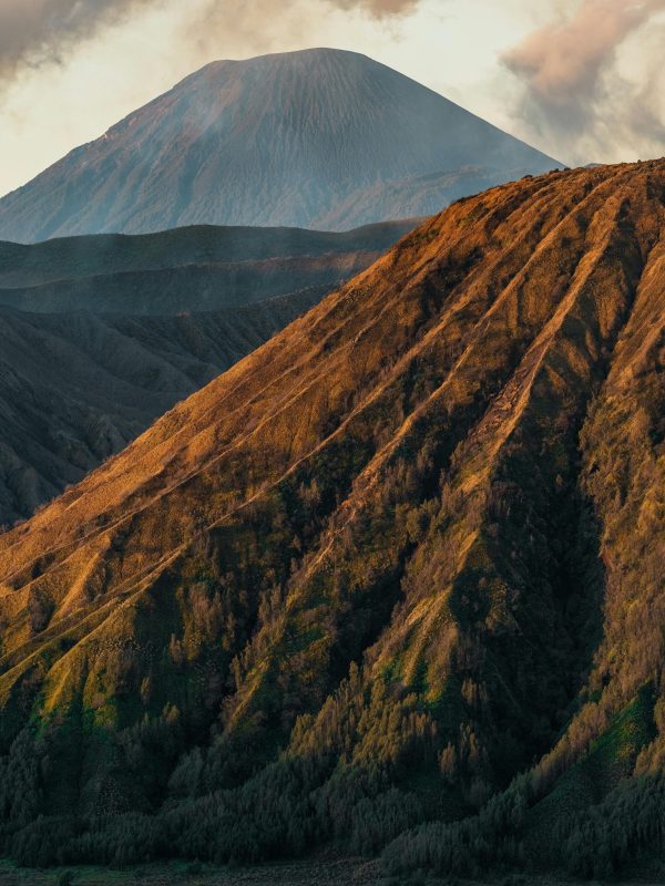 pexels-daneswara-eka-2157956675-37649225
