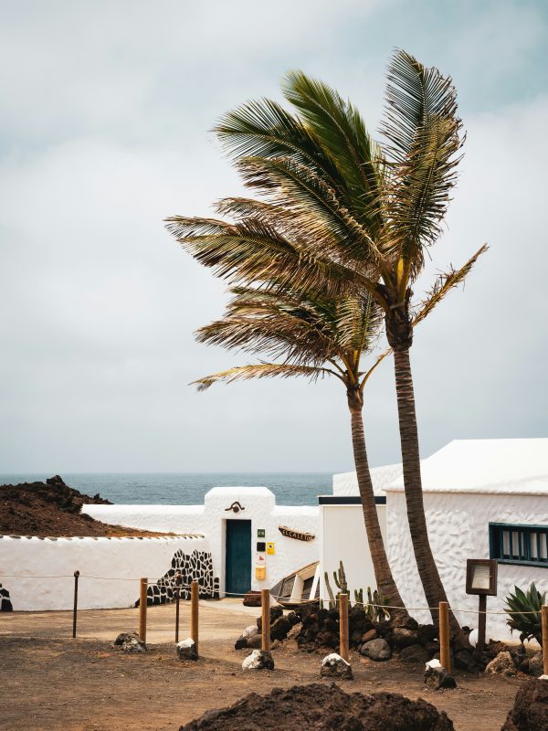 tymek-niciak-jN-hJBYvzDI-unsplash